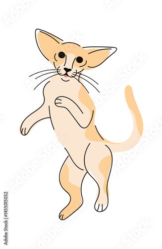 Oriental cat hand drawn animal