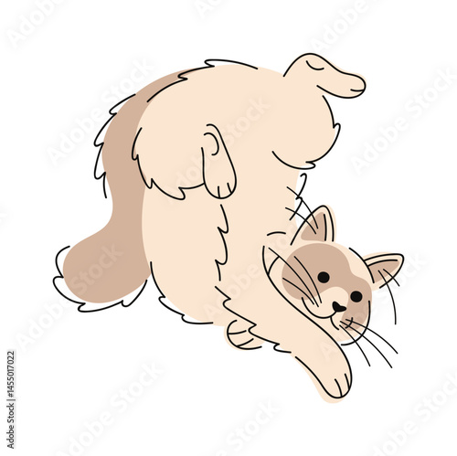 Balinese cat hand drawn doodle