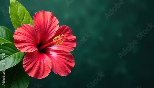 Wallpaper Mural Bold hibiscus blooms, tropical leaves, vibrant color , repeat, wallpaper Torontodigital.ca