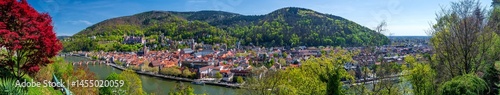 Obraz na płótnie Panoramic view on City of Heidelberg with Neckar river at springtime, Baden-Württemberg, Germany w salonie
