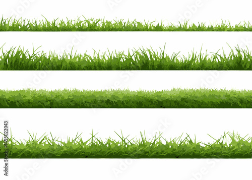 green grass background