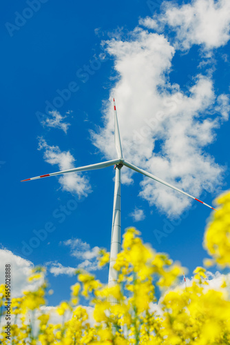 Wind turbines in a yellow field against a blue sky. Ecological energy production by windmills in rural areas in Europe.