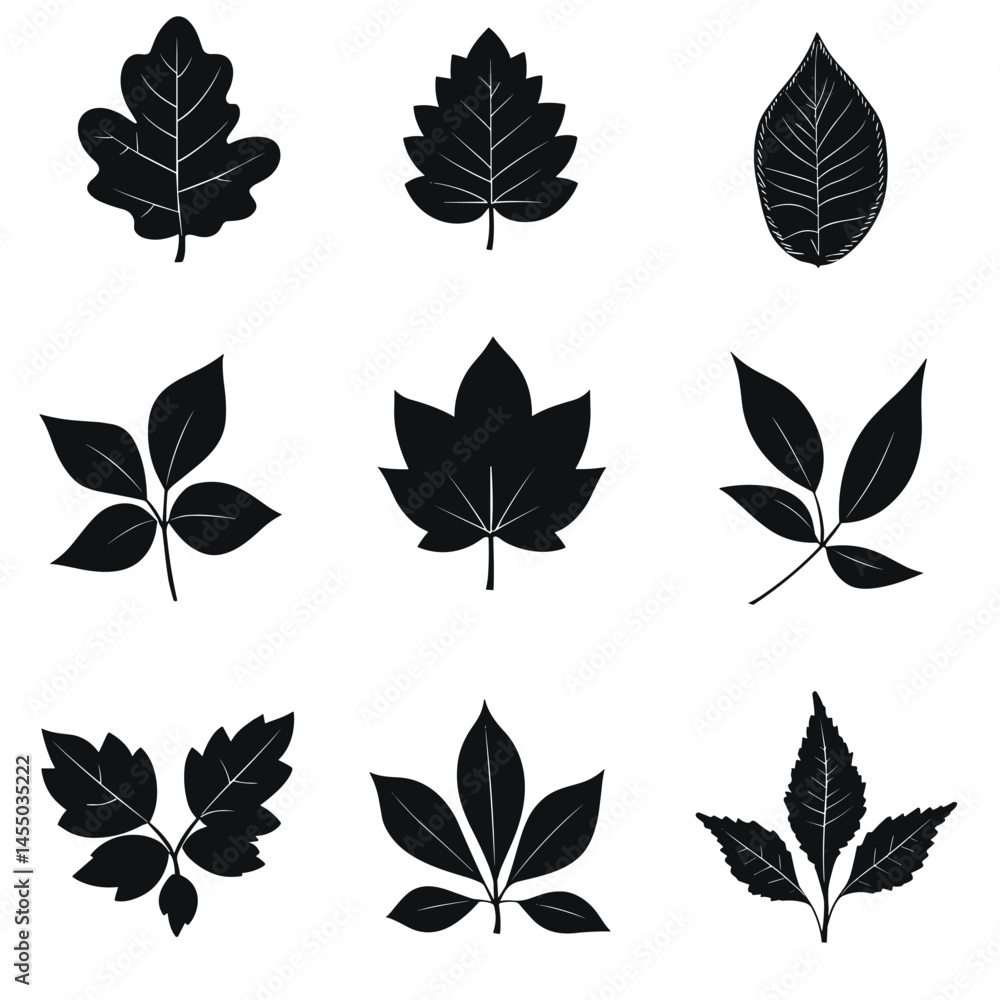 Obraz premium Assortment of nine different leaf shapes showcased as black silhouettes against white backdrop.