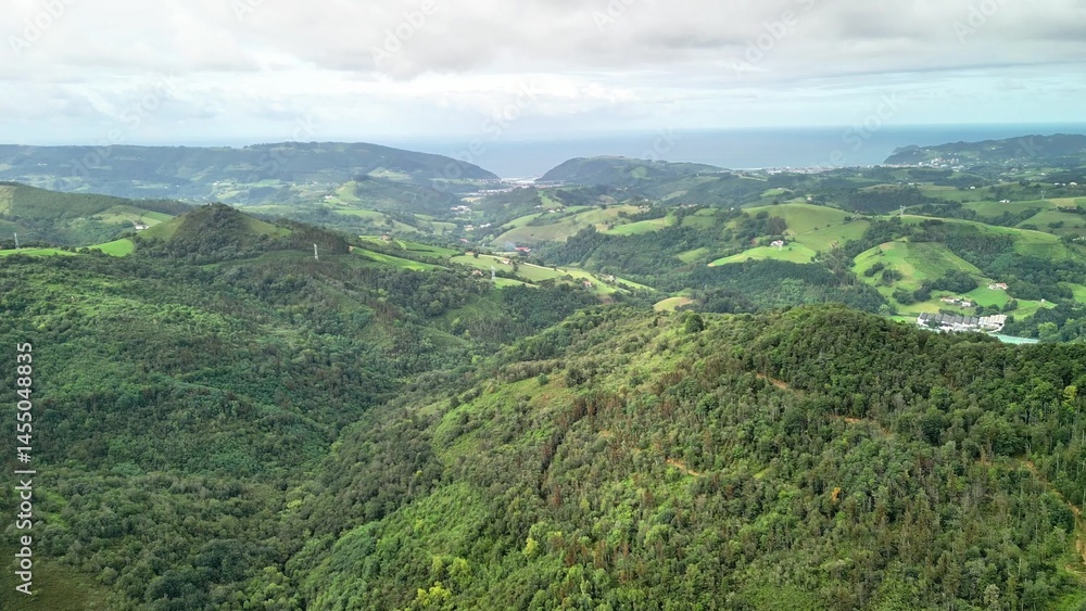 Fototapeta premium Experience the breathtaking aerial view showcasing the lush green hills alongside the ocean