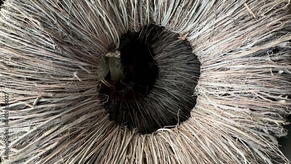 Obraz premium An Artistic Closeup Displaying the Intricate and Beautiful Texture of Natural Fiber Materials