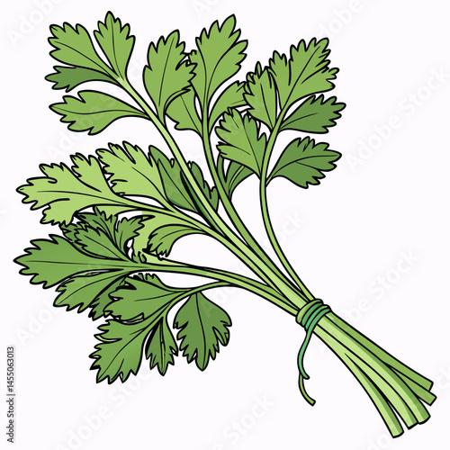 bunch of parsley