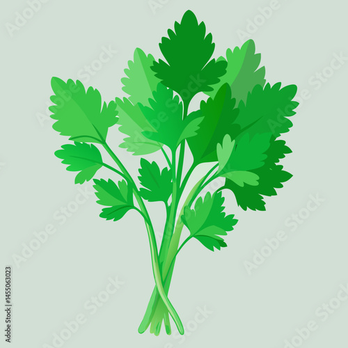 green parsley isolated on white background