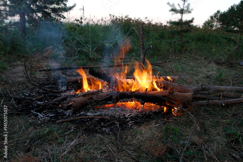 orange flame of fire at night in nature