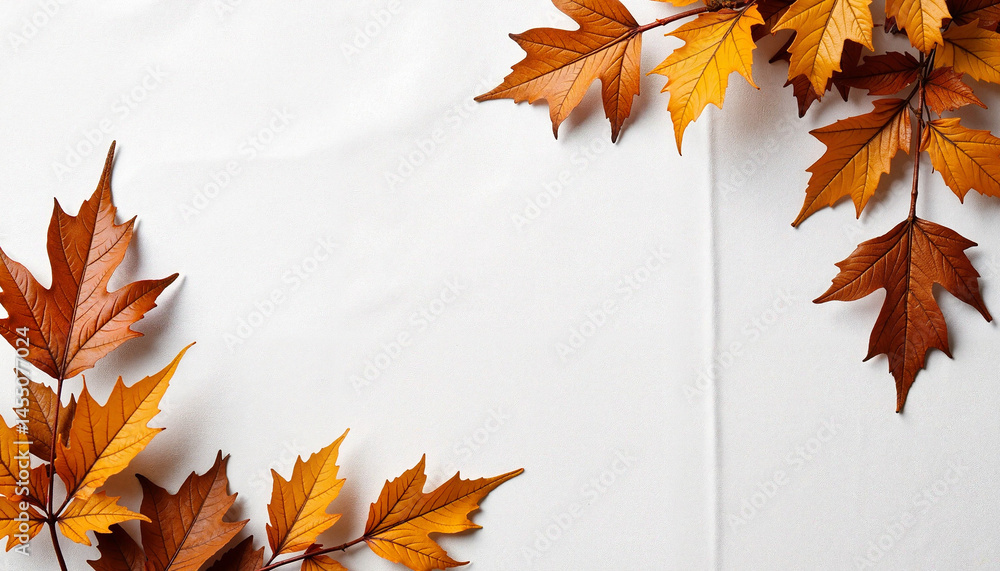 Autumn leaves corner decoration on bright white background, Autumn Leaves Frame, Thanksgiving