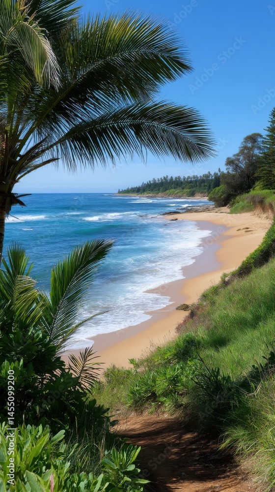 Sandy tropical beach coastline viewed through palm trees on a sunny day with blue ocean waves gently rolling in. Sandy tropical beach coastline viewed through palm trees on a sunny day with blue ocean waves gently rolling in.