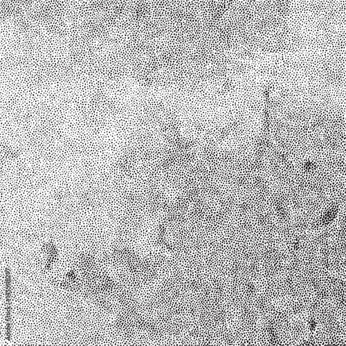 A dense textured surface displays a multitude of small uniform dots.