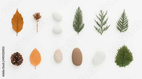 Minimal Flat Lay of Autumn Leaves, Stones, and Pinecones on White Background
