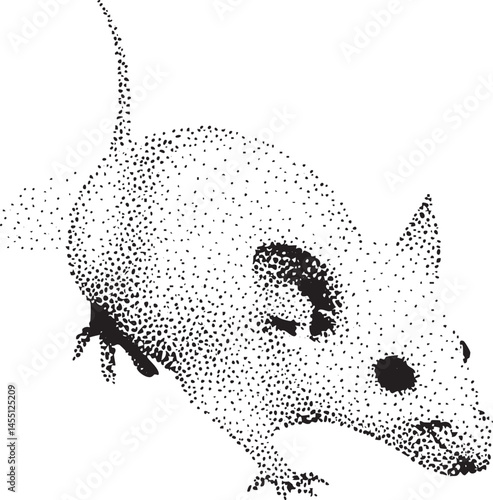 A small dark rodent peers intently from beneath a shadowed ledge.