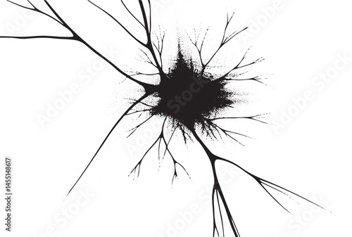 A fractured surface displays a network of radiating lines against a stark white background.