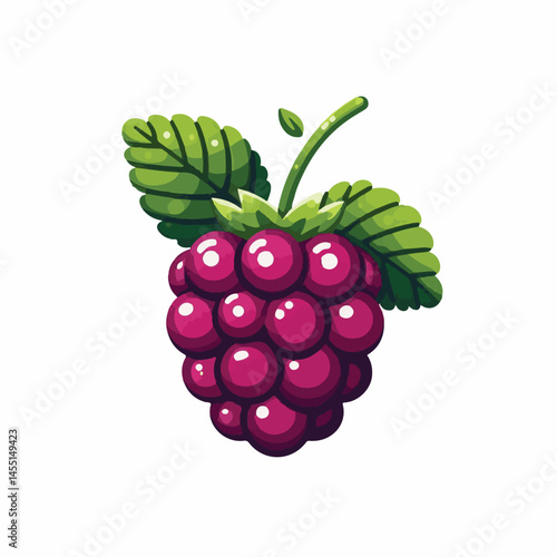 berry, food, fruit, blackberry, sweet, ripe, fresh, organic, natural, healthy, marionberry, dessert, juicy, background, isolated, summer, leaf, black, red, green, freshness, raw, closeup, bramble, ill