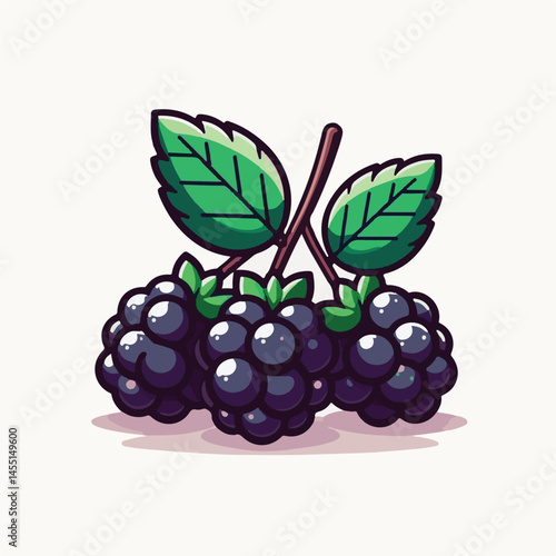 berry, food, fruit, blackberry, sweet, ripe, fresh, organic, natural, healthy, marionberry, dessert, juicy, background, isolated, summer, leaf, black, red, green, freshness, raw, closeup, bramble, ill