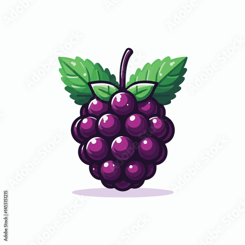 berry, food, fruit, blackberry, sweet, ripe, fresh, organic, natural, healthy, marionberry, dessert, juicy, background, isolated, summer, leaf, black, red, green, freshness, raw, closeup, bramble, ill