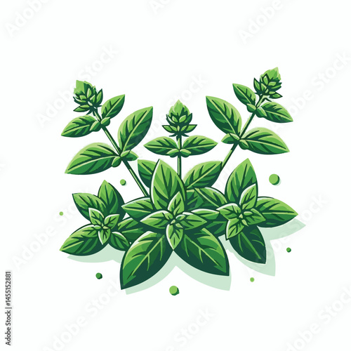 herb, leaf, organic, oregano, herbal, marjoram, plant, spice, green, ingredient, fresh, branch, aroma, background, raw, isolated, healthy, nature, closeup, condiment, freshness, seasoning, natural, ar