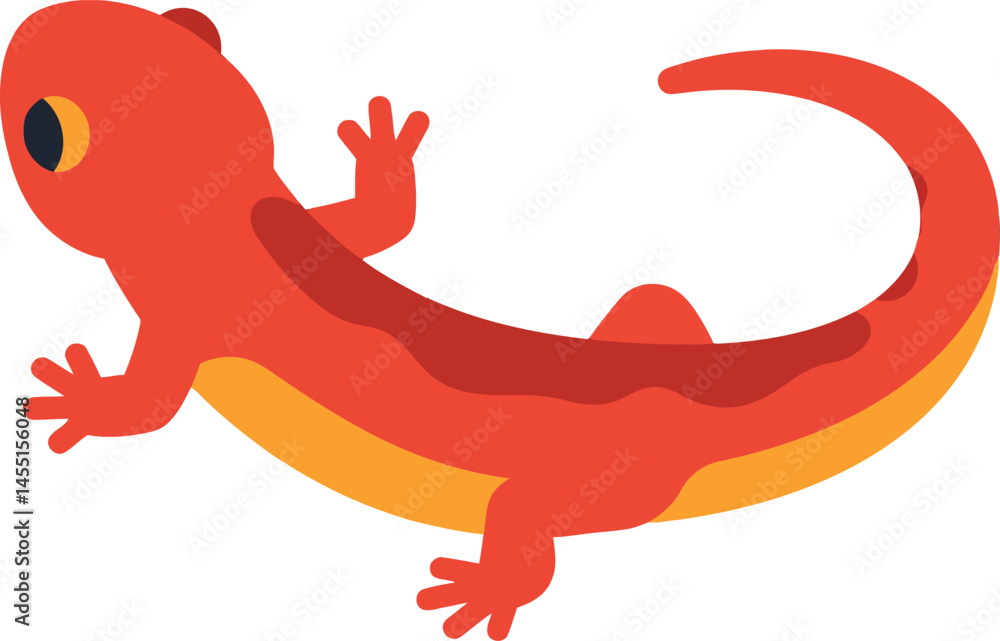 Obraz premium Red salamander illustration with orange belly and simple design vector graphic for nature and wildlife projects 