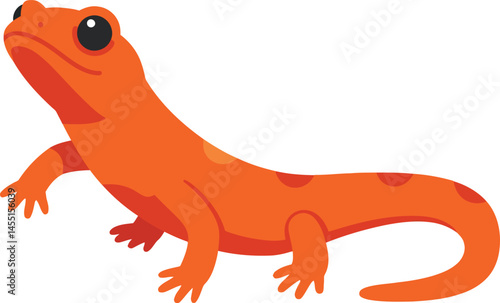 Orange salamander amphibian animal vector illustration with black eyes and spotted body design