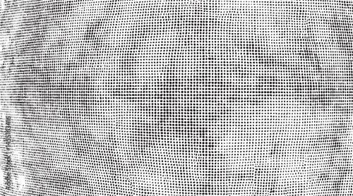 A close-up portrait reveals a textured white face with subtle tonal variations.