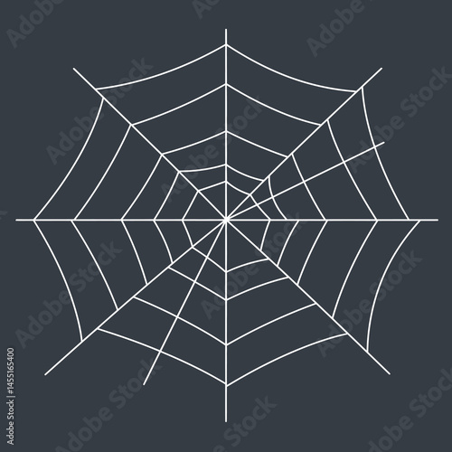 Spider web vector illustration with white lines on dark square background for nature and design projects