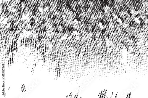 Dense forest canopy creates a textured monochrome view.