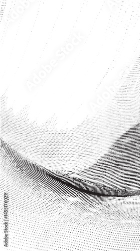 A smooth gray wave gracefully curves across a textured white expanse.