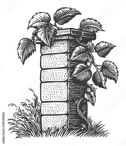 Vintage Engraving of Rustic Stone Pillar with Climbing Green Plant