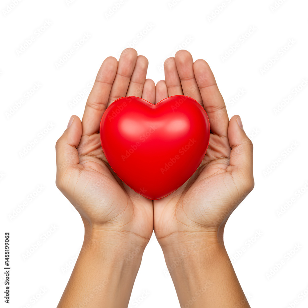 Hands Holding a Red Heart Hands Holding a Red Heart