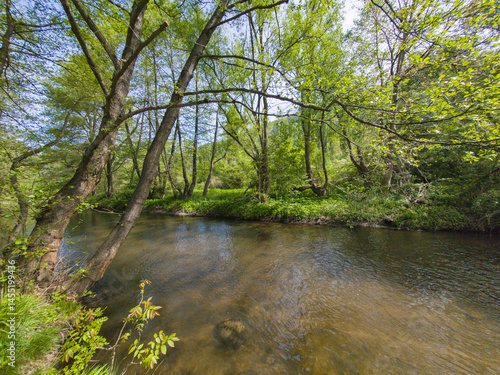 Obraz na płótnie Iskar river near Pancharevo lake, Bulgaria w salonie