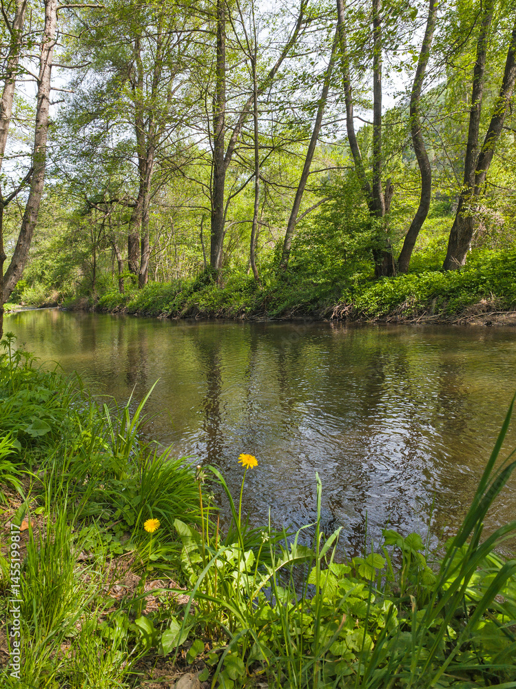 Iskar river near Pancharevo lake, Bulgaria