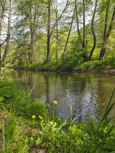 Obraz na płótnie Iskar river near Pancharevo lake, Bulgaria w salonie