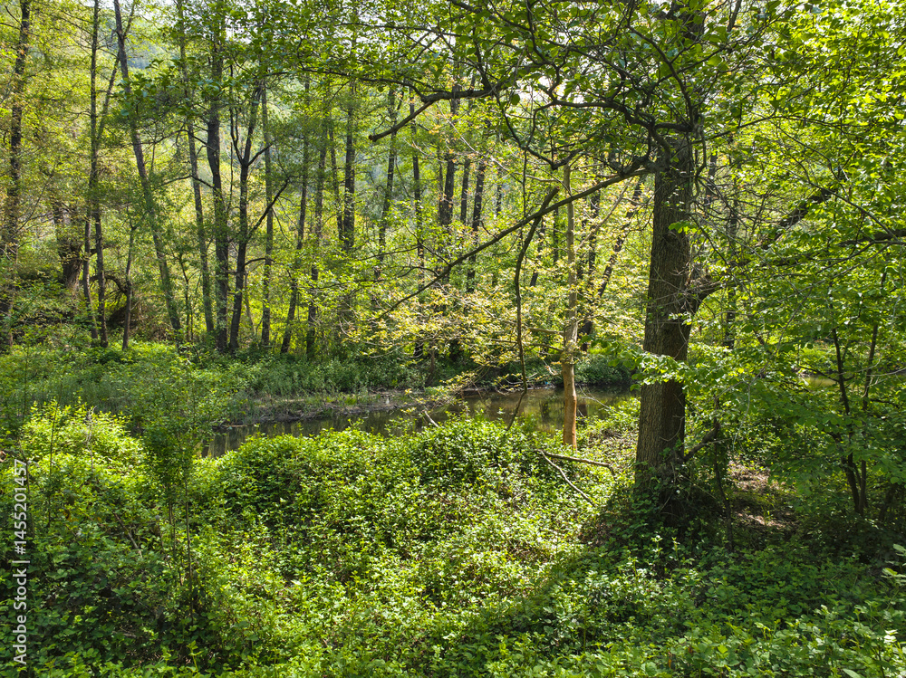 Iskar river near Pancharevo lake, Bulgaria