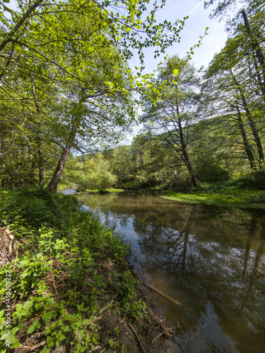 Obraz na płótnie Iskar river near Pancharevo lake, Bulgaria w salonie