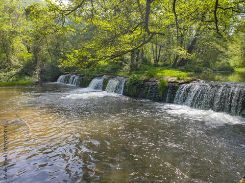 Obraz na płótnie Iskar river near Pancharevo lake, Bulgaria w salonie