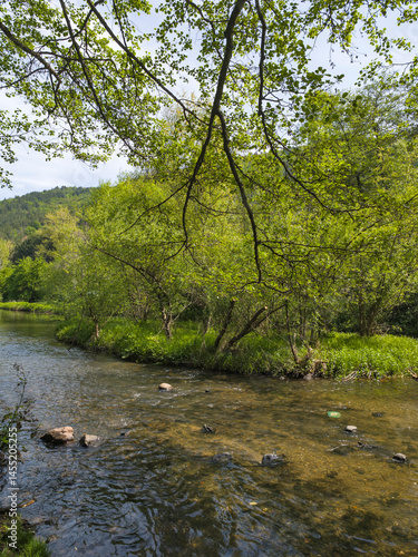 Obraz na płótnie Iskar river near Pancharevo lake, Bulgaria w salonie