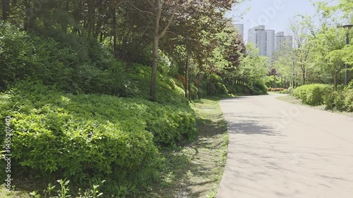 Sunny Path Through the City Park