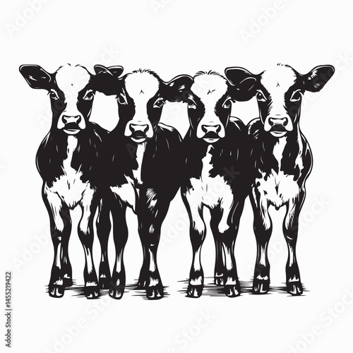 Four adorable calves standing in a grassy field image vector isolated on white background.