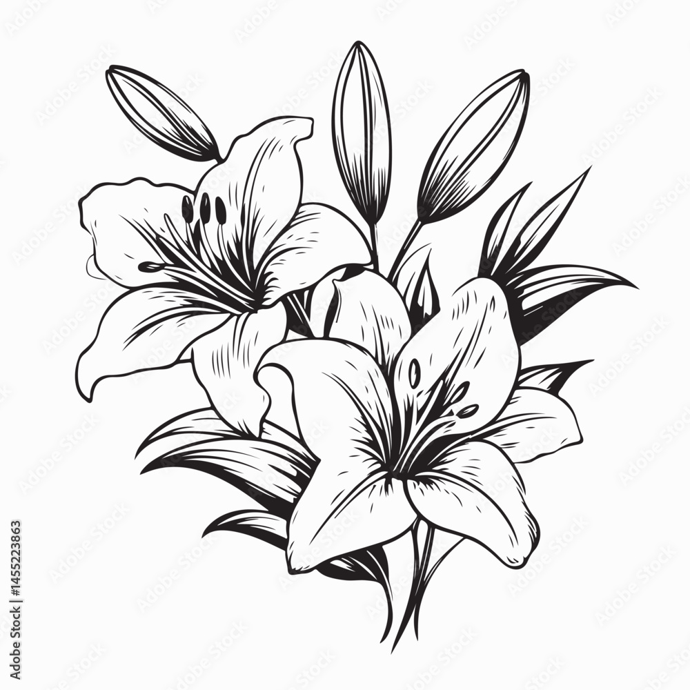 Obraz premium Lily flowers branch with flowers and buds vector illustration on white background