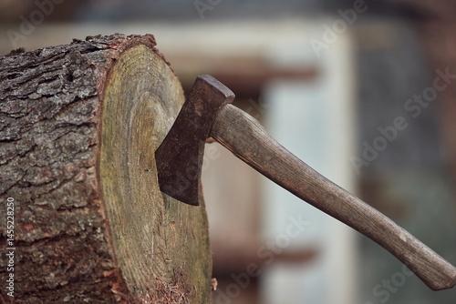 Obraz na płótnie Axe in a log after throwing, logging w salonie