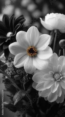 Black and white floral arrangement featuring dahlias with detailed petals, petals, and golden center.