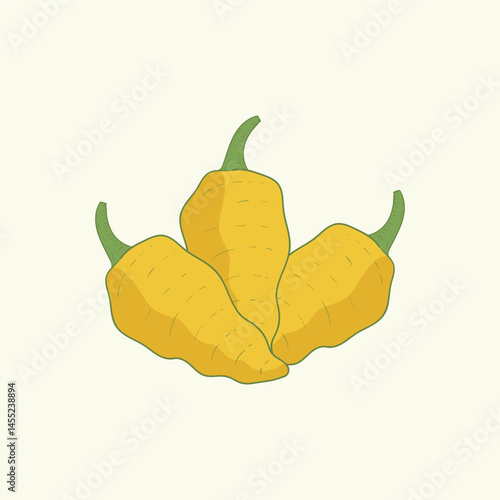 Datil pepper vegetables flat design cartoon illustration