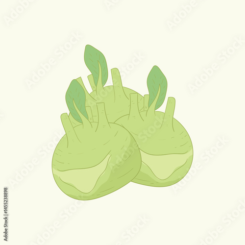 Delicacy white kohlrabi vegetables flat design cartoon illustration