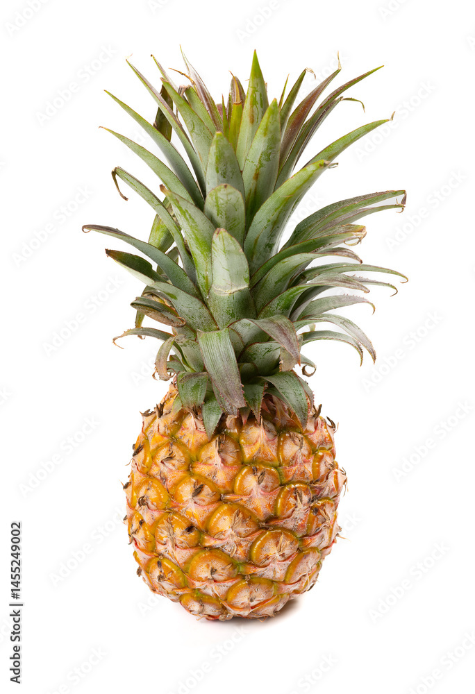 Fototapeta premium a pineapple on a white background