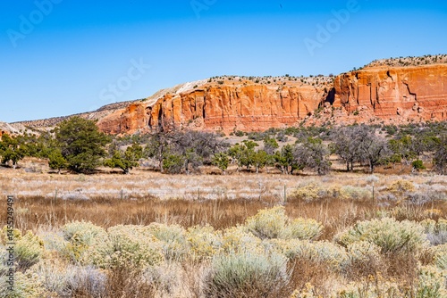 Canvas Print Zuni mountains view