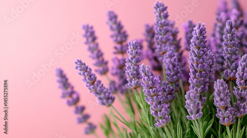 Obraz na płótnie Light lavender-colored background banner evokes calm, elegance, and gentle sophistication, symbolizing serenity, emotional balance, and creativity in minimalistic or wellness-themed visuals.
w salonie