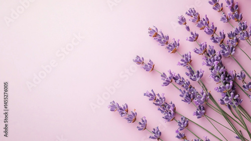 Obraz na płótnie Light lavender-colored background banner evokes calm, elegance, and gentle sophistication, symbolizing serenity, emotional balance, and creativity in minimalistic or wellness-themed visuals.
w salonie