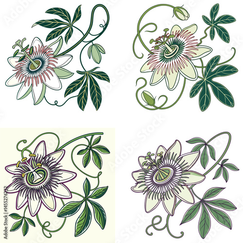 A passion flower icon with intricate, layered filaments and 
petals. 