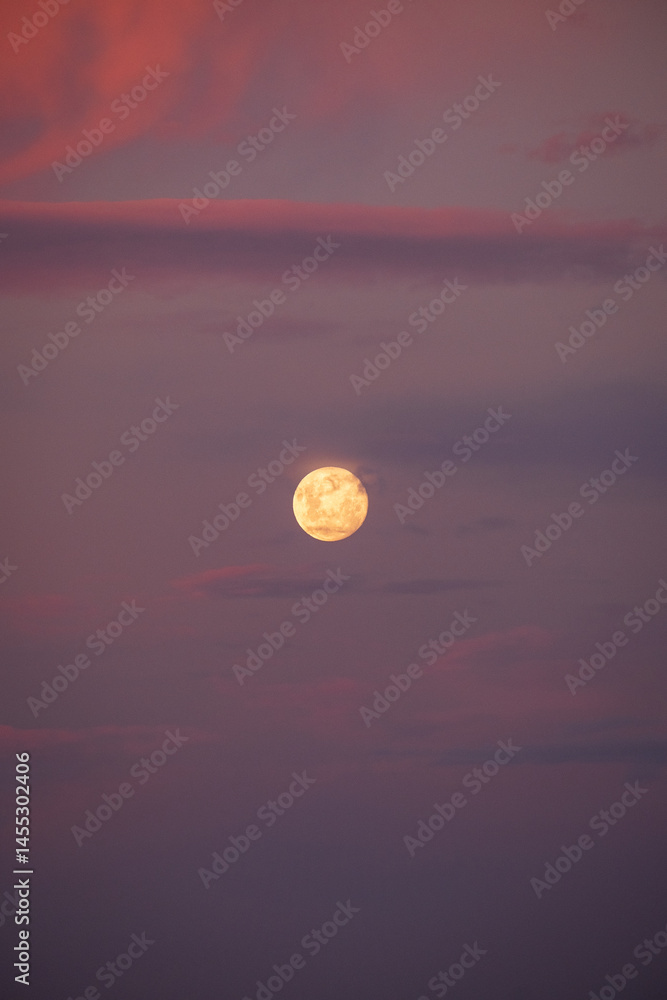 Obraz premium Moon after sunset